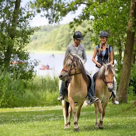 Appartement Elegant Eingerichtete *